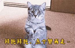 福州本地便民信息,福州便民网官网