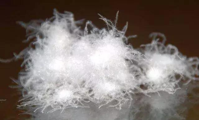 被子怎么选又轻又保暖,冬天被子哪种比较轻保暖还好