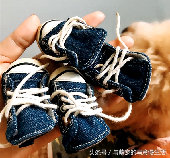 果太后的鸭梨官司——阿狼正传(三)