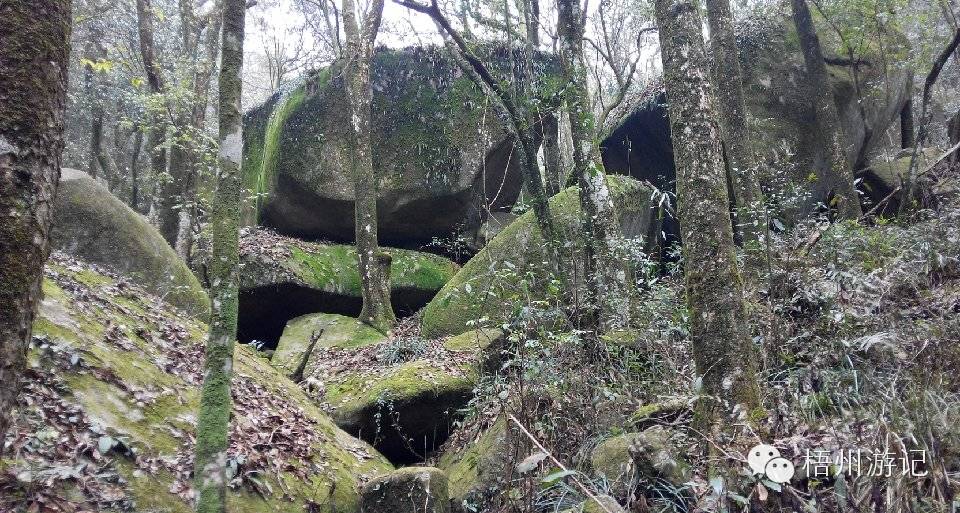 肇庆七星岩洞穴探险,广东肇庆七星岩自驾游攻略