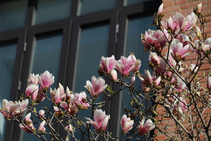 佳能eos80d高清图片,佳能2420像素和4500像素区别