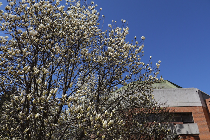 佳能2420像素和4500像素区别,2420万像素佳能750d