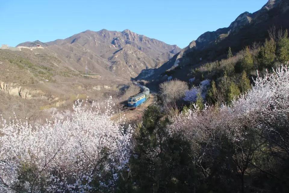 开往春天的列车，我们看图就行了