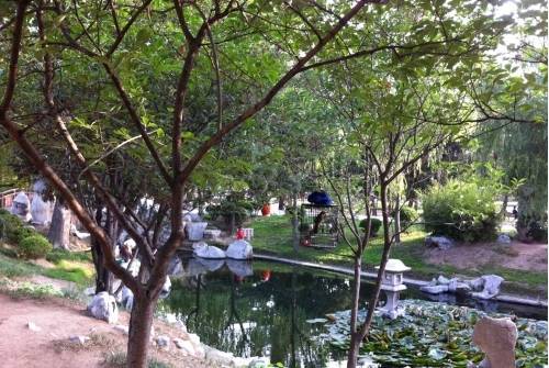 青岛18年清明赏花,青岛赏花踏青攻略