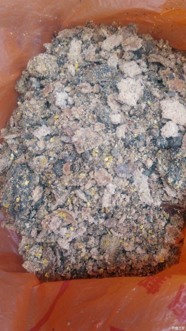 锦鲤迎春鱼跃龙门,锦鲤观赏鱼鸿运当头