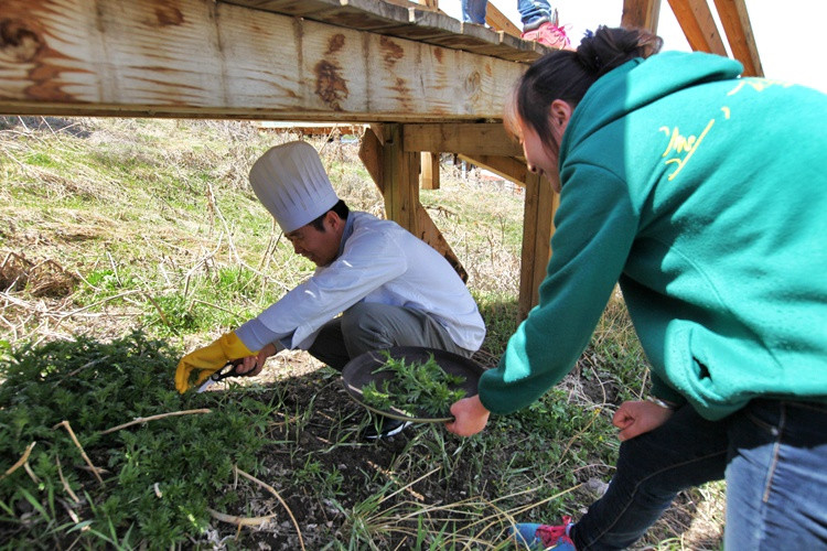 五月上天山，圆你一个武侠梦