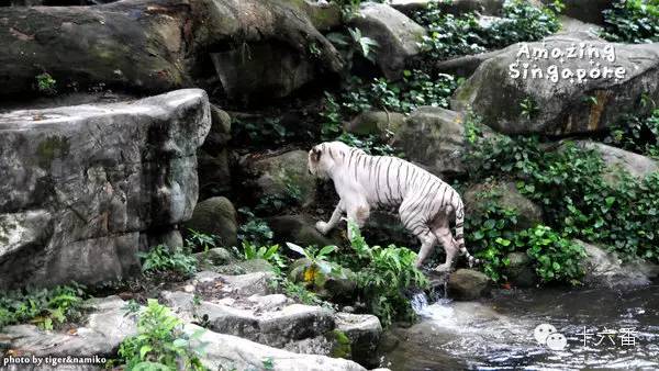 你从来没有留意过的中转站，可能比目的地更好玩！