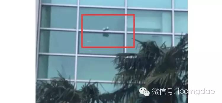 进口牛奶有多好喝,进口牛奶与本国牛奶口感差异