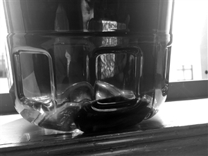 男子将死老鼠放入新购菜籽油中欲敲诈20万被拘