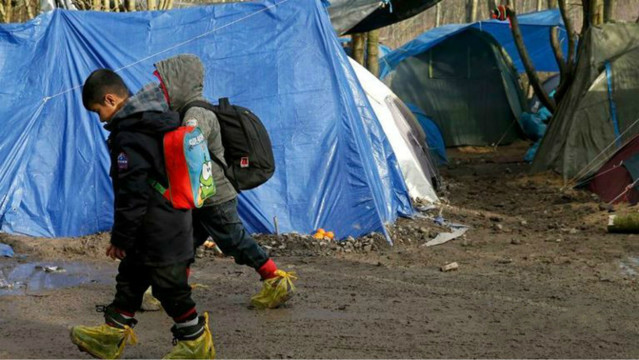 最新热点：加莱的“丛林孤儿”，你们在哪里？