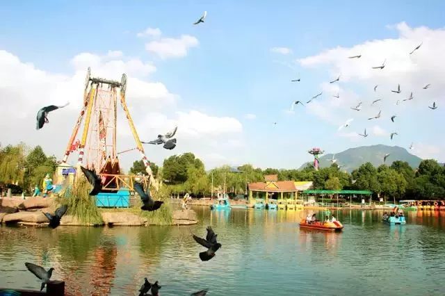 温州乐园体验,温州乐园游玩指南