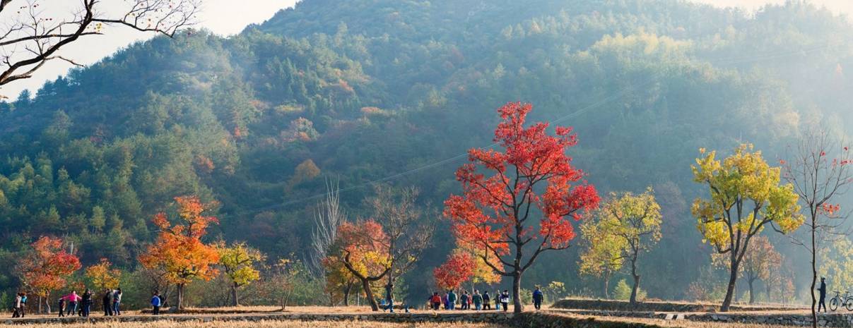 怀念当年风采的古诗词,怀念过往时光的古诗词