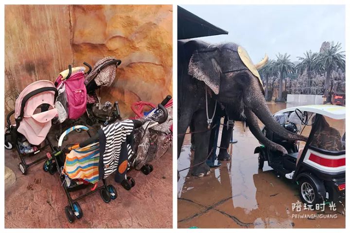 适合儿童去玩的恐龙世界,小孩能去常州恐龙园么