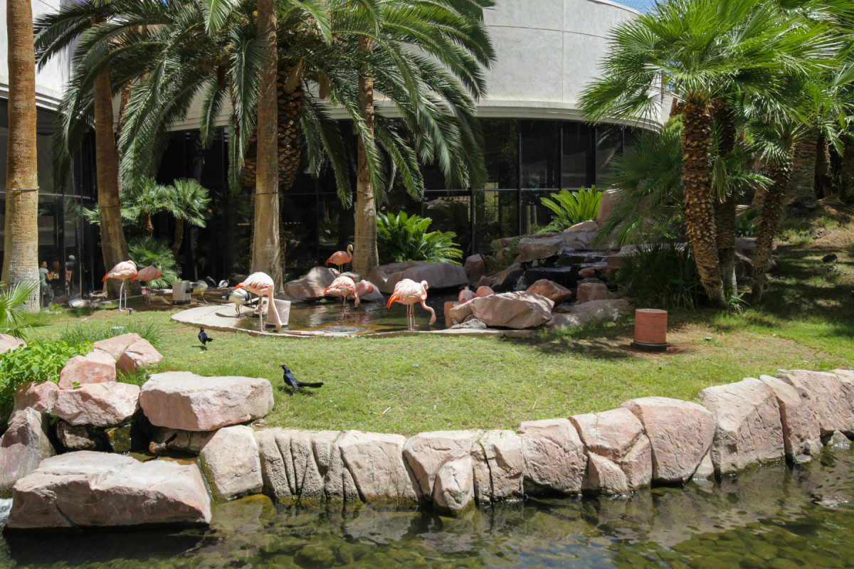 美国西海岸7天自驾游,西海岸周边自驾游推荐