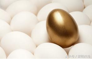 帮公司养鸡的利润与成本真实,帮公司代养鸡利润是多少