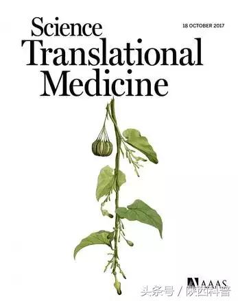 敲黑板对人体有什么危害,中药致癌物质