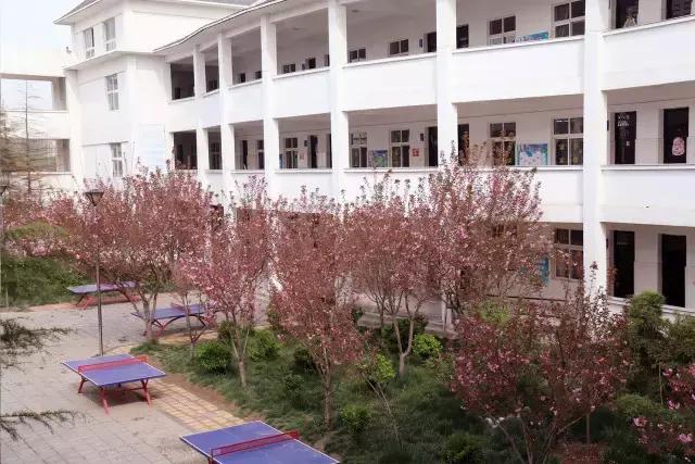 相约一起赏樱花,相约樱花园美景图片