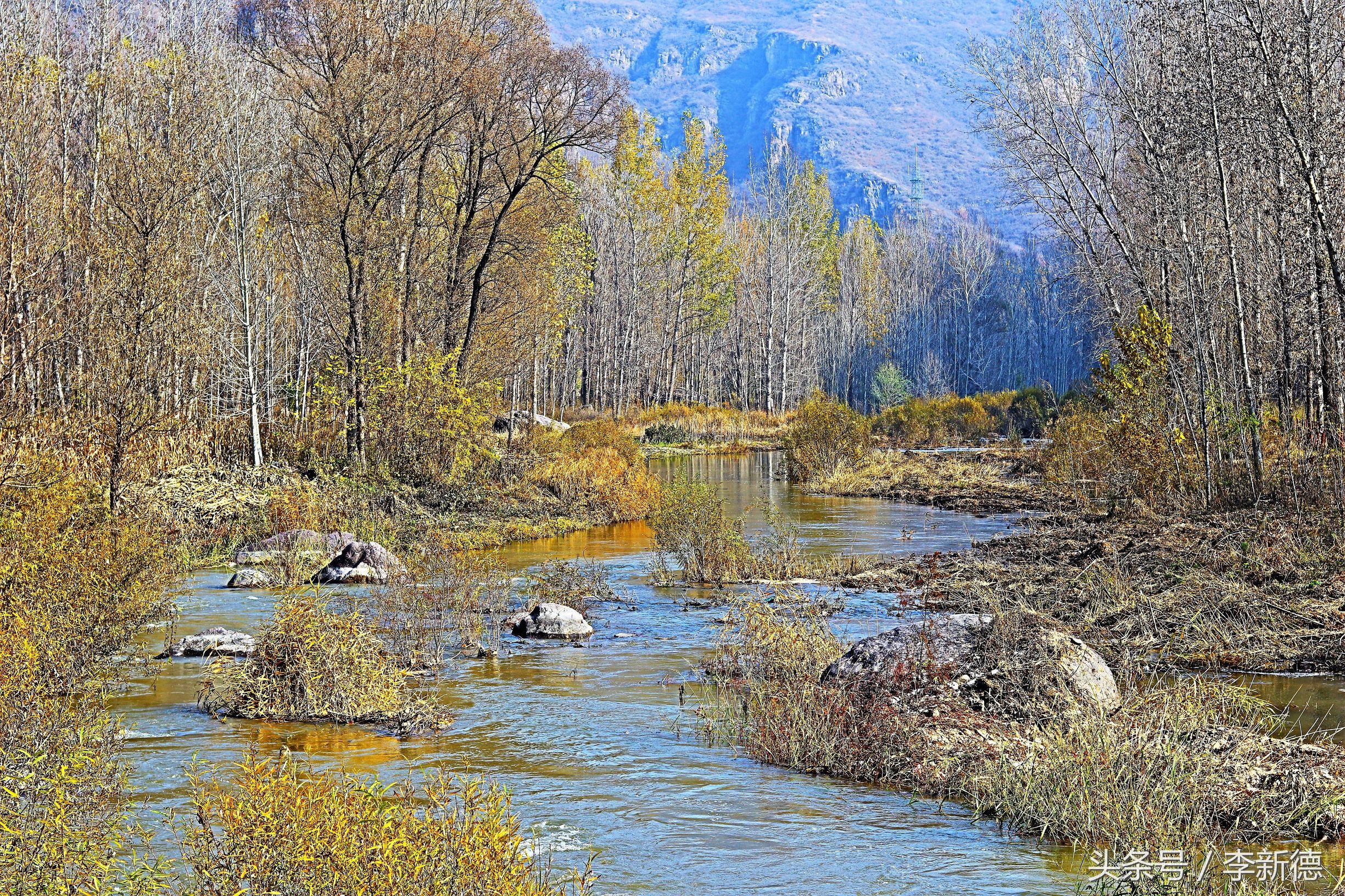 带着佳能相机去旅游图片,带着佳能r10去旅游