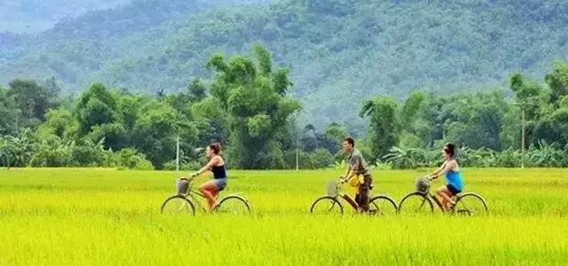 英德奇洞温泉住宿一晚价格,清远溶洞温泉度假村