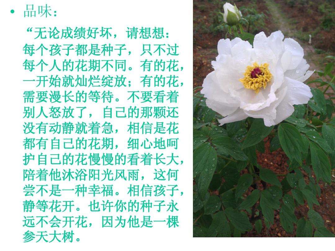 小孩说肚子不舒服吃不下饭,4岁孩子说肚子不舒服没有精神