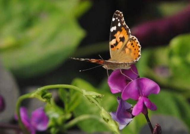 如何应对职场老油条的调侃,职场容易得罪领导的五句话