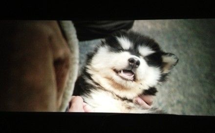 后会无期英语完整版,后会无期的法语怎么读