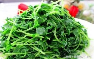 舌尖上的中国安徽毛豆腐,舌尖上的中国合肥豆腐