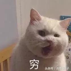 双11护肤品高姿抢购清单,双11美妆攻略散粉