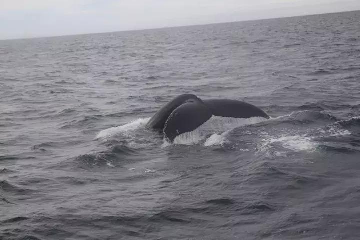 冰岛独立乐团白日梦想家,冰岛白日梦想家旅行