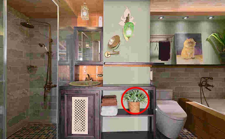 卫生间容易忽略的水电位,卫生间马桶绝对不能忽略的细节