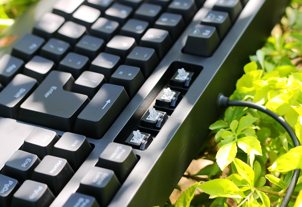 这个键盘头有些铁—ZOWIECELERITASII机械键盘