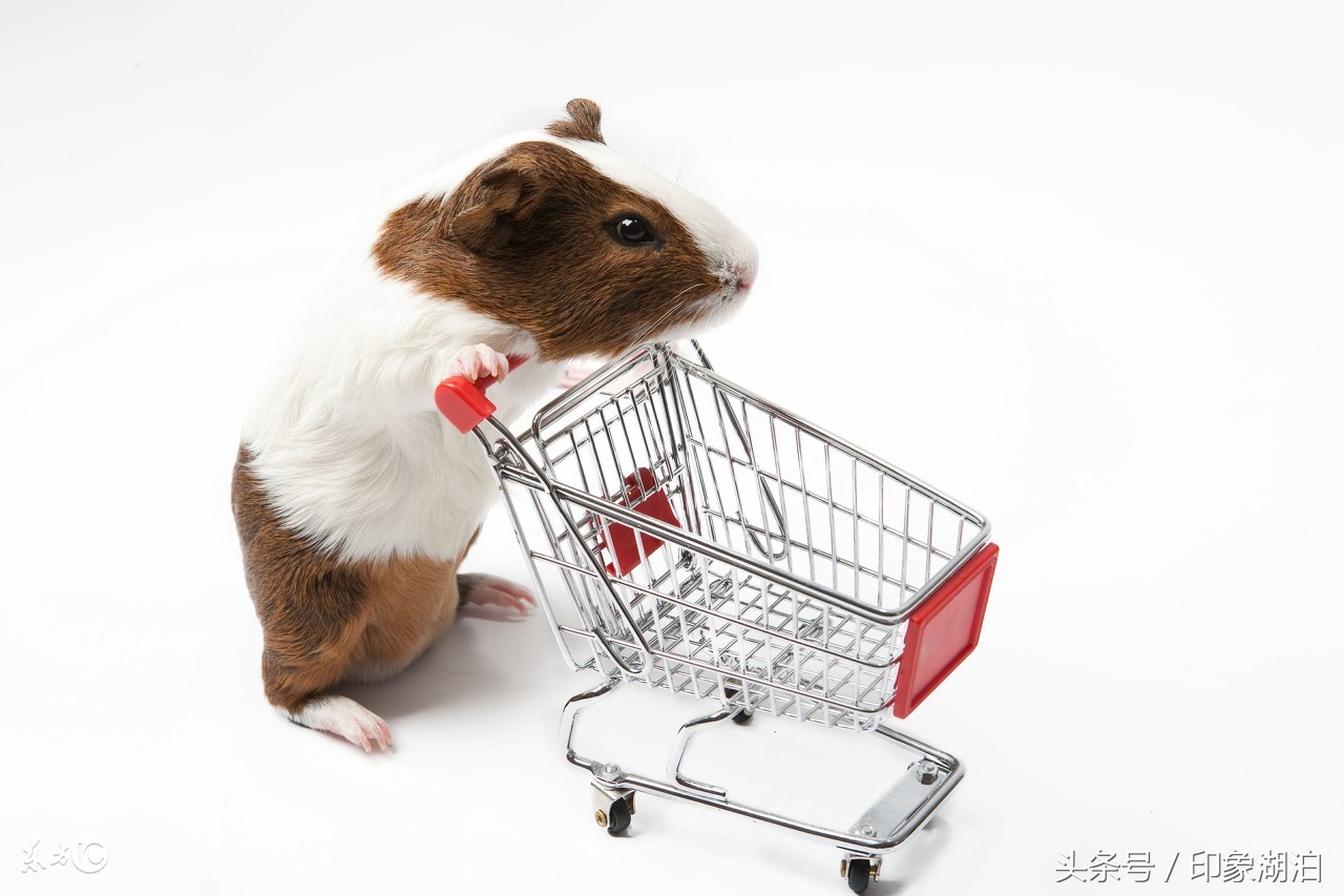 给孩子起名叫什么,稳重大气的宝宝起名没有之一