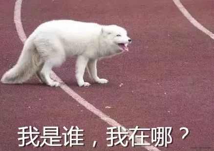 双11剁手开箱,双11剁手之前看看你的购物车