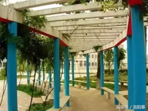 洛阳最有魅力的高中,洛阳市最牛逼的高等专科学校