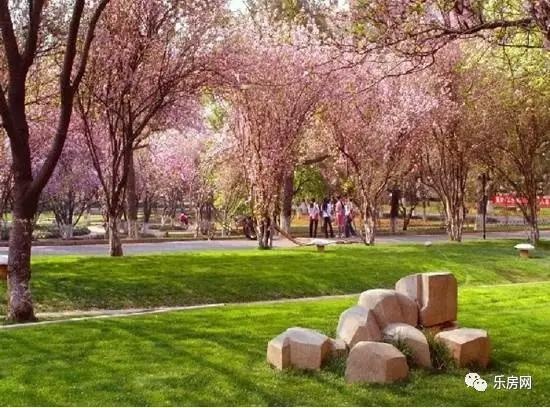 甯稿痉榧庡煄鍢夌編妗冭姳婧愬簻,灏忎箰鎺㈡埧