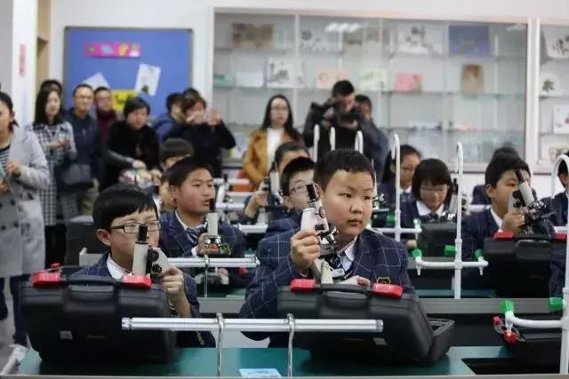 大学生解剖青蛙,大学生练习解剖青蛙