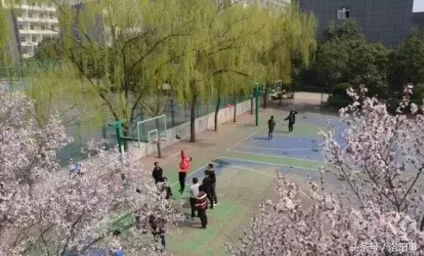 洛阳最有魅力的高中,洛阳市最牛逼的高等专科学校