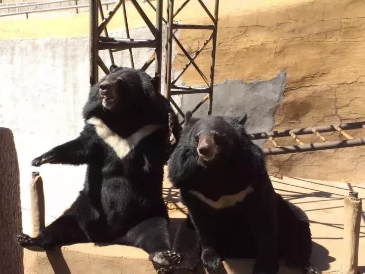 看了让人非常难受的高分电影,这辈子都不想看的电影
