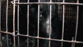 看了让人非常难受的高分电影,这辈子都不想看的电影