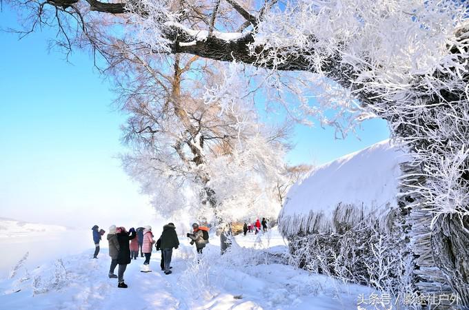 哈尔滨雾凇岛一日游,哈尔滨雪乡雾凇岛攻略