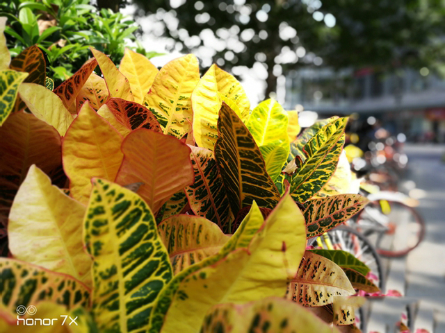 千元荣耀手机性价比之王,千元全面屏荣耀畅玩7x使用感受