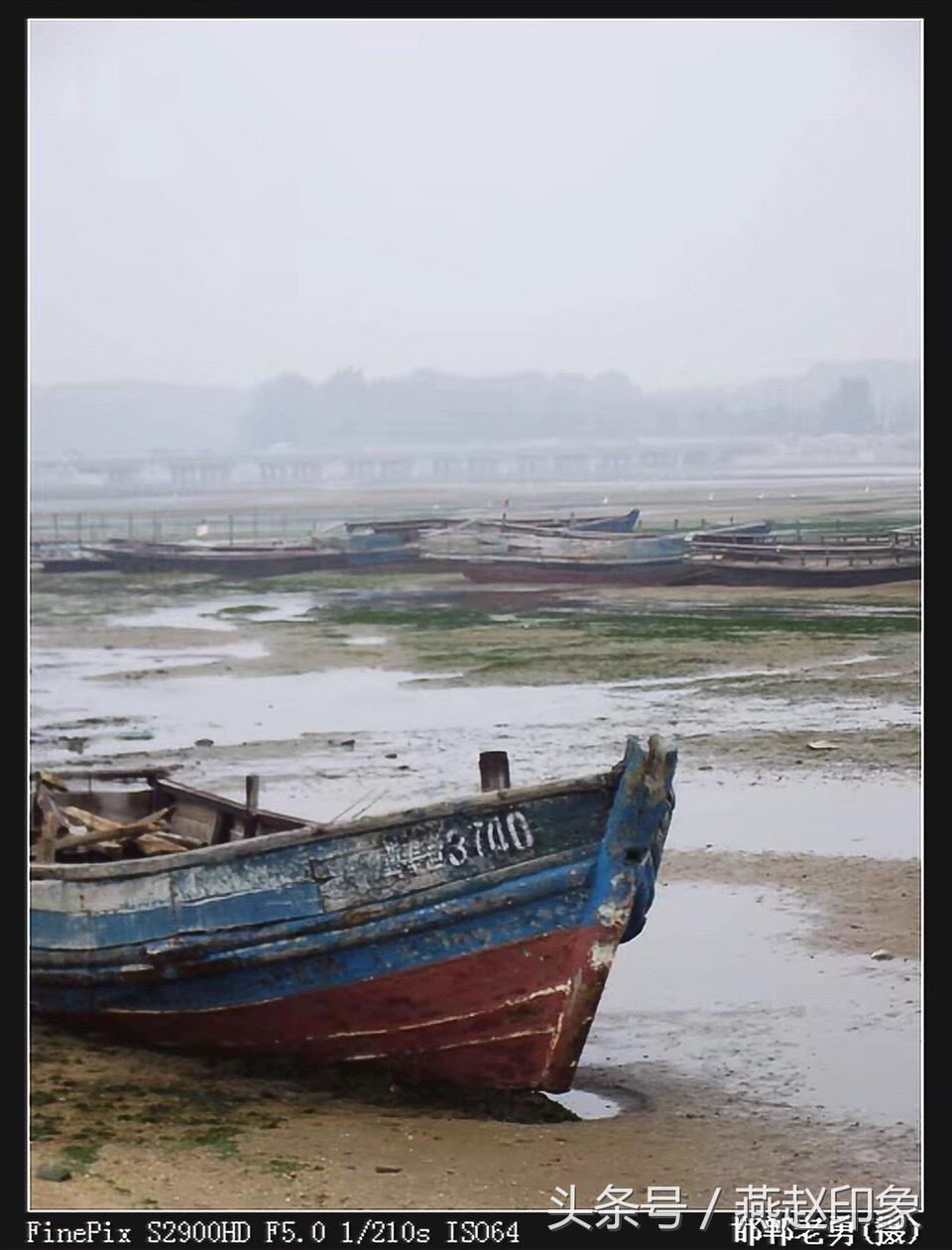 爱上摄影的苗子,爱上摄影的经历