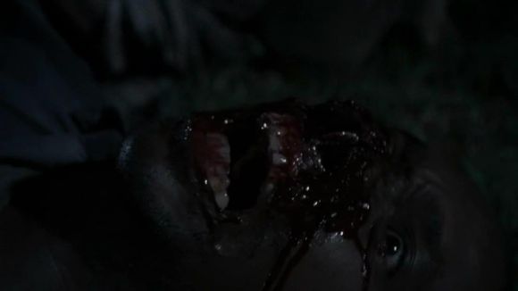 行尸走肉生存本能全流程,行尸走肉全组人员图片