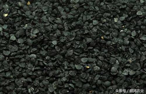 未来三年种植什么药材价格最稳定,种植中药材价格表最新消息