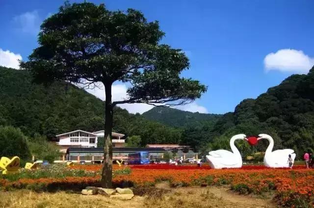 从化碧泉空中温泉酒店附近景点,从化碧泉空中温泉酒店团购