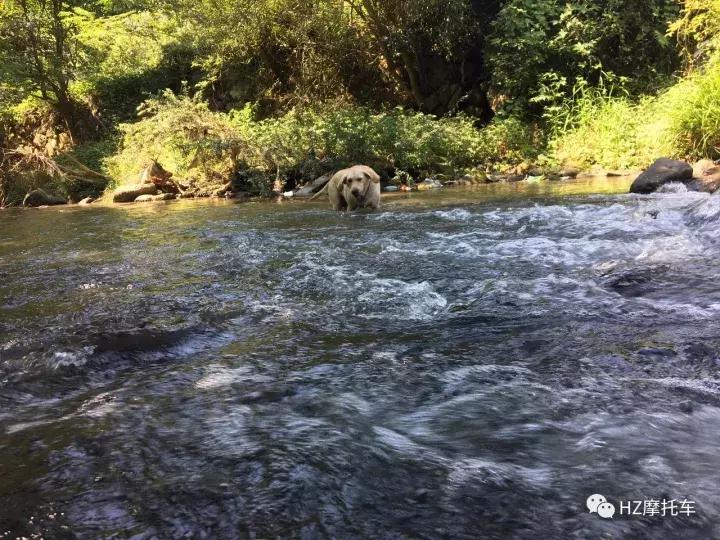 雅马哈mt-10,yamahamt-05