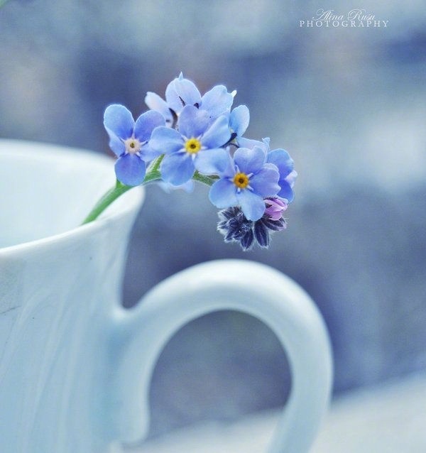 栗子姐情感专访,栗子姐每日情感问答100条