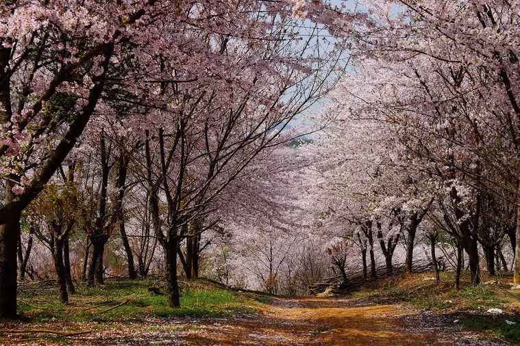 花安高速花溪段,花安高速沿途景区