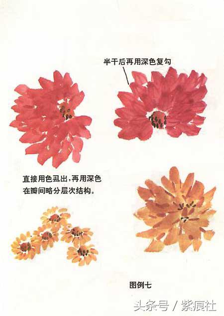 国画中球形菊花怎么画好看,名家画菊花的简单画法