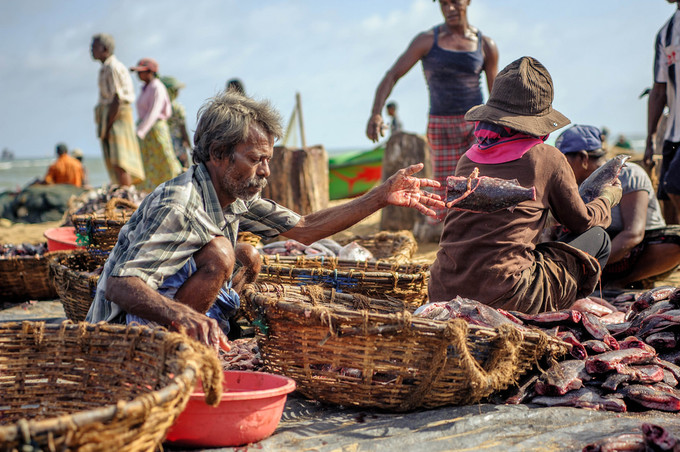 必点海鲜夜市,哪里的夜市海鲜比较多